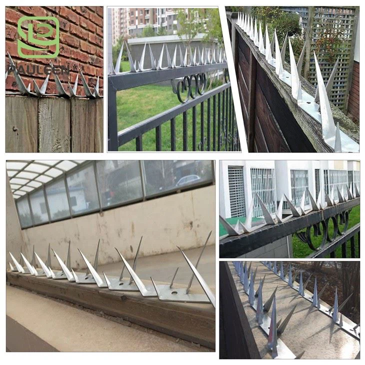 Cheap Price Wall Spikes best
