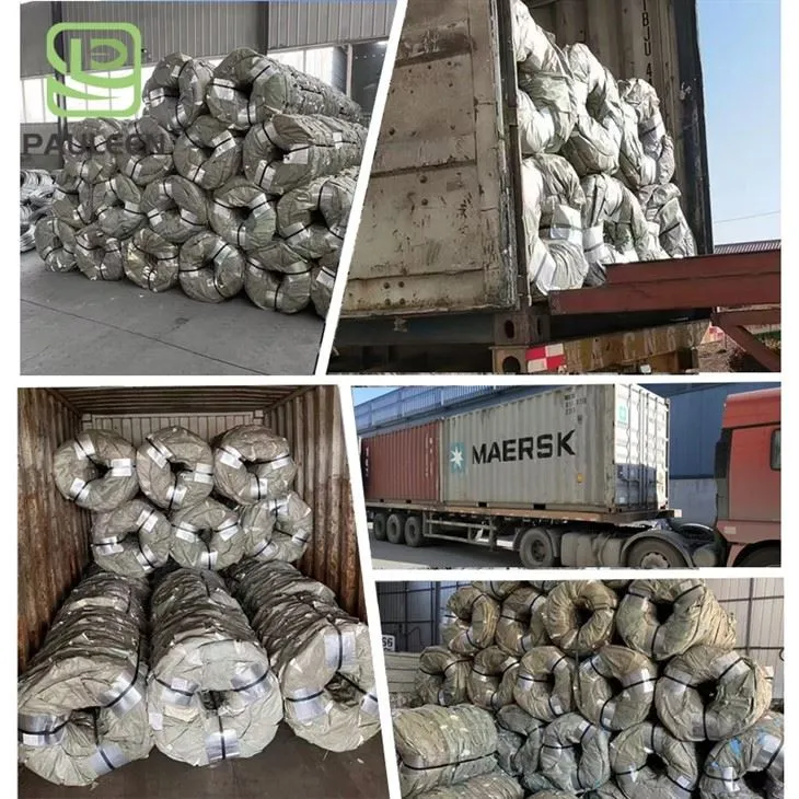 Dual Protection With Galvanized Custom Razor Barbed Wire Fence For Border high quality Dual Protection With Galvanized Custom Razor Barbed Wire Fence For Border high quality