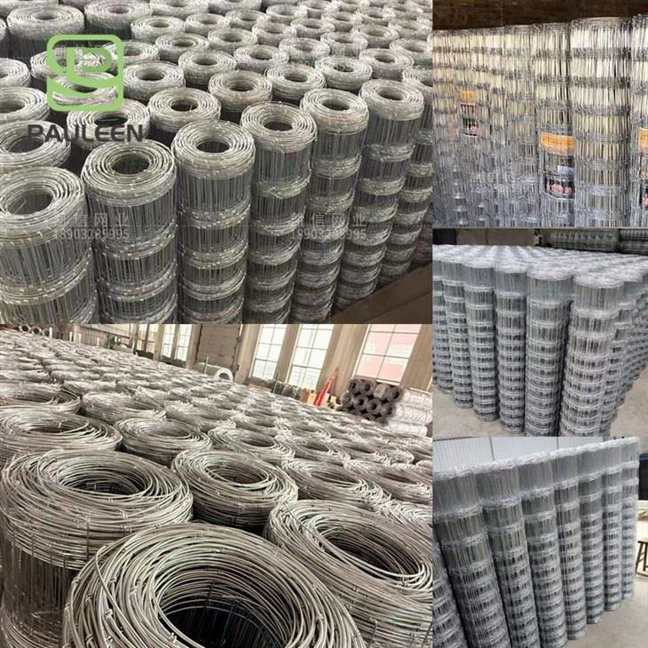 Galvanized For Deer Fence high quality