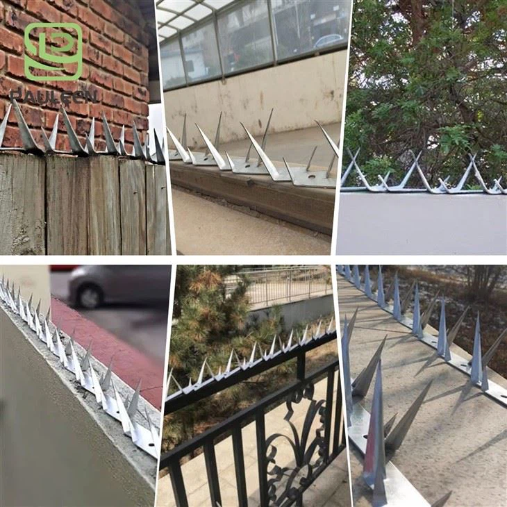 Anti Climb Galvanzied Barbed Nail Anti Climb Galvanzied Barbed Nail