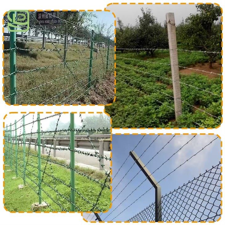 Cheap Barbed Wire