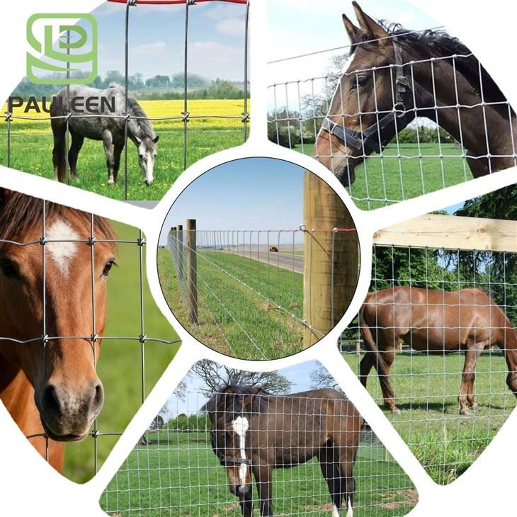 Fence For Horses best