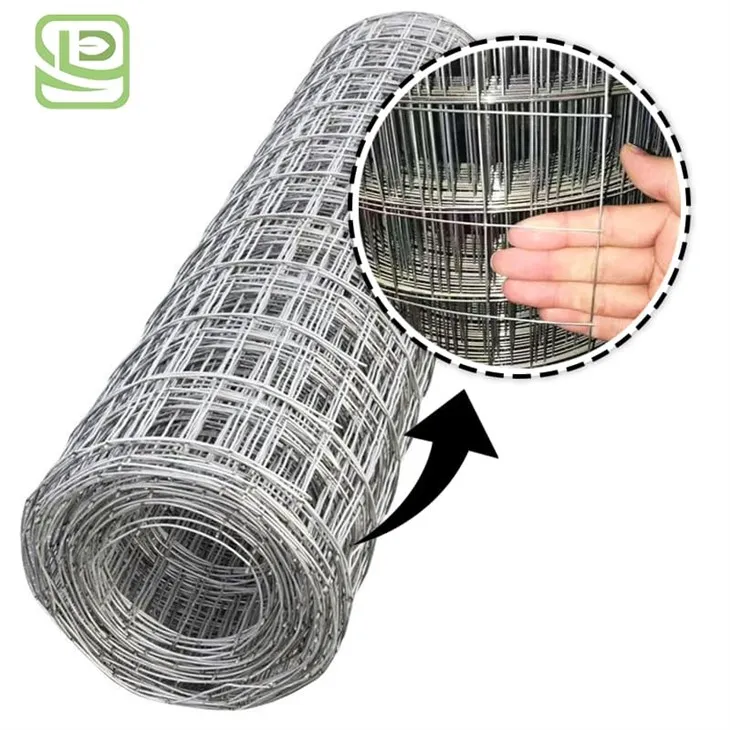 Galvanized Net Galvanized Net