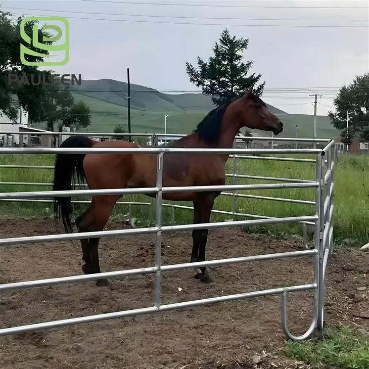 Horse Paddock Fence