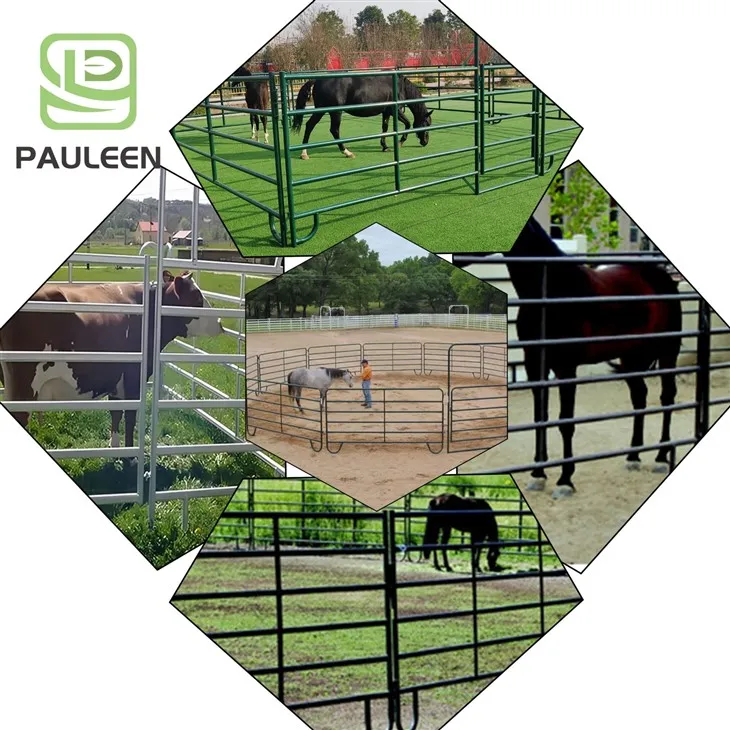 Horse Ranch Fence best