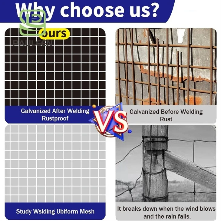 Low-Carbon Iron Wire Mesh Low-Carbon Iron Wire Mesh