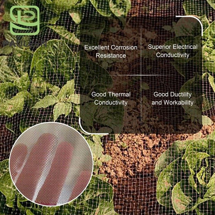 Phosphor Copper Wire Mesh factory