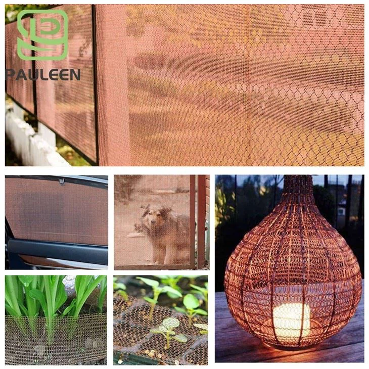 Phosphor Copper Wire Mesh best