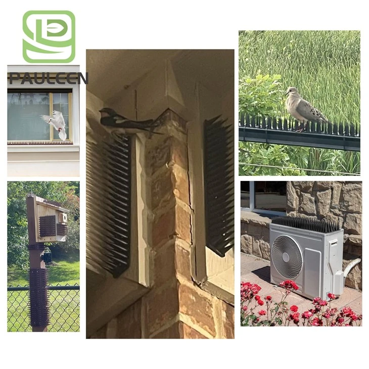 Pigeon Deterrent Spikes best