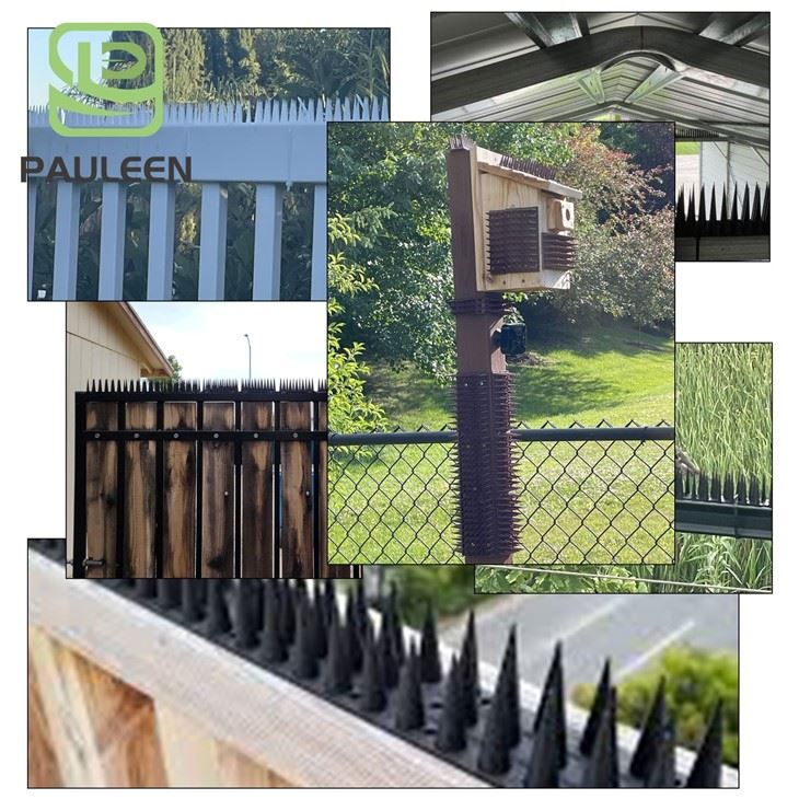 Plastic Bird Spikes Anti Pigeon best Plastic Bird Spikes Anti Pigeon best