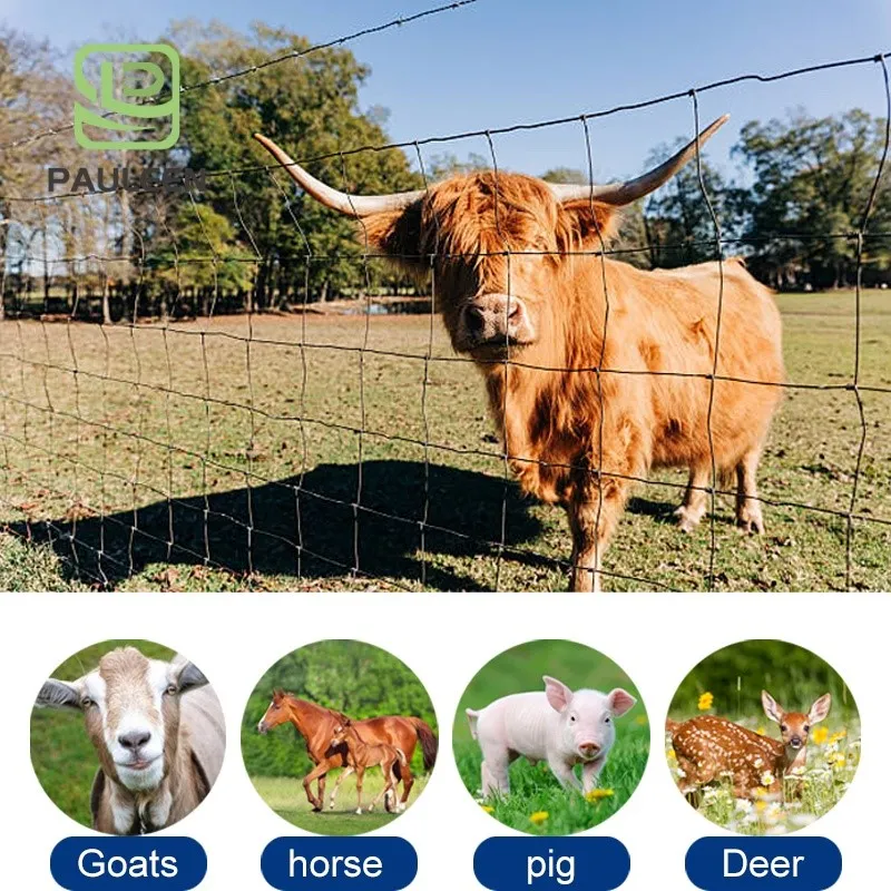 cattle yard fence cattle yard fence