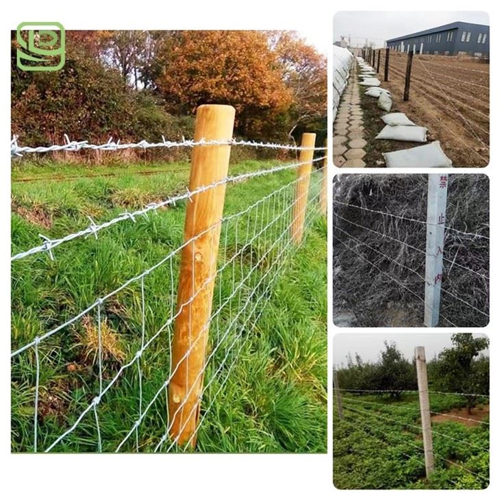 Stainless Steel Barbed Wire Stainless Steel Barbed Wire